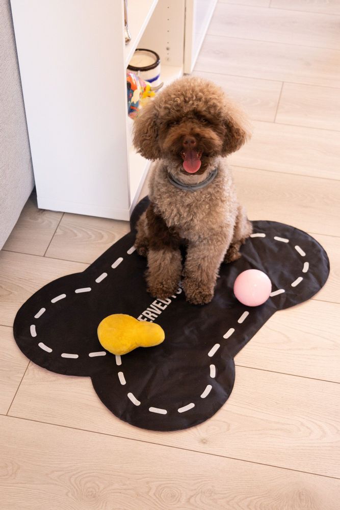 Bespoke carpets - PET ACCESSORIES - FISURA