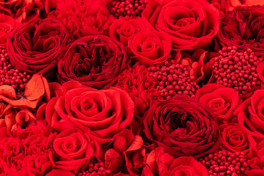 Décorations florales - Coffret de fleurs durables - Rond Size M - BENOIT SAINT AMAND