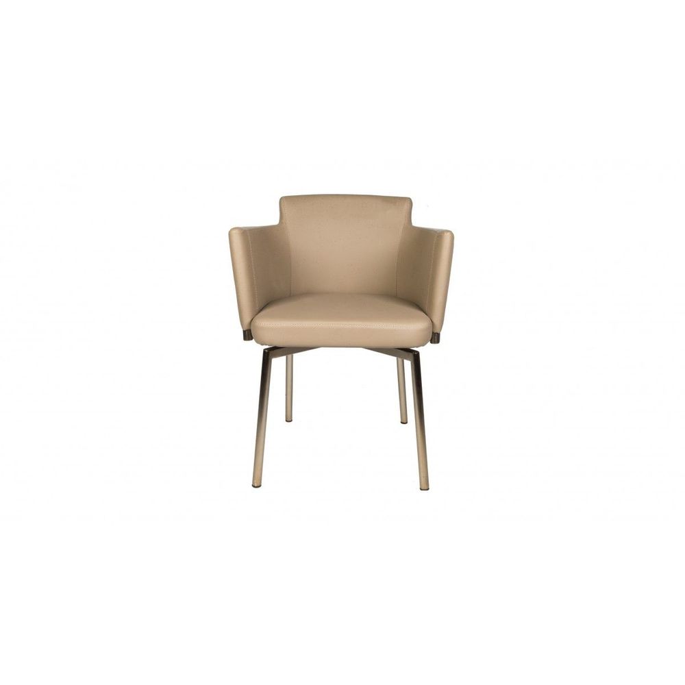 Chairs - Diella -Dining Chair - BDHOLDING - DAZE BRAND