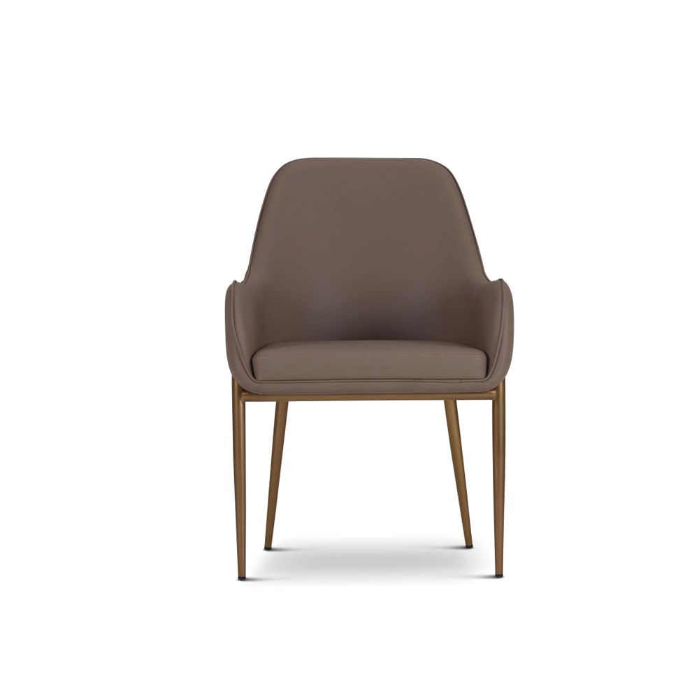 Chaises - Camelia-Dining Chairs - BDHOLDING - DAZE BRAND