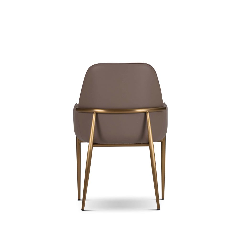 Chaises - Camelia-Dining Chairs - BDHOLDING - DAZE BRAND