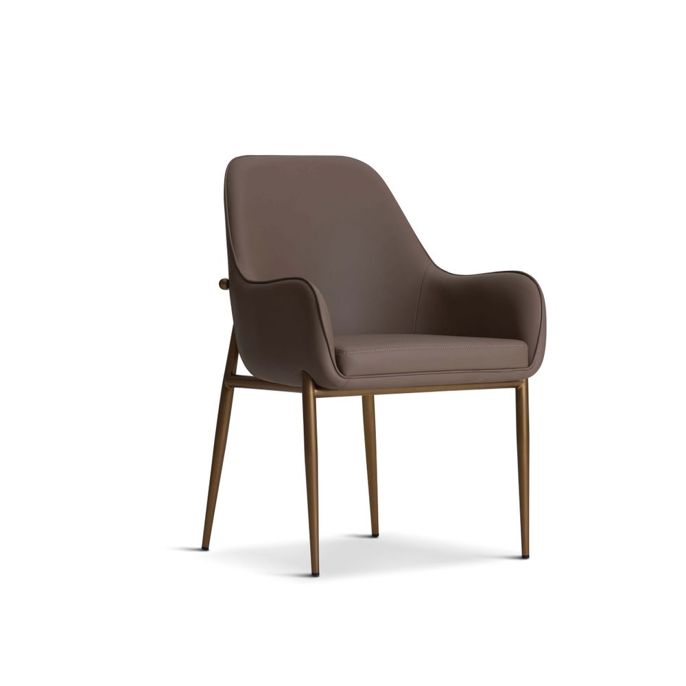 Chaises - Camelia-Dining Chairs - BDHOLDING - DAZE BRAND