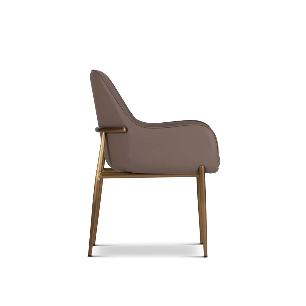 Chaises - Camelia-Dining Chairs - BDHOLDING - DAZE BRAND
