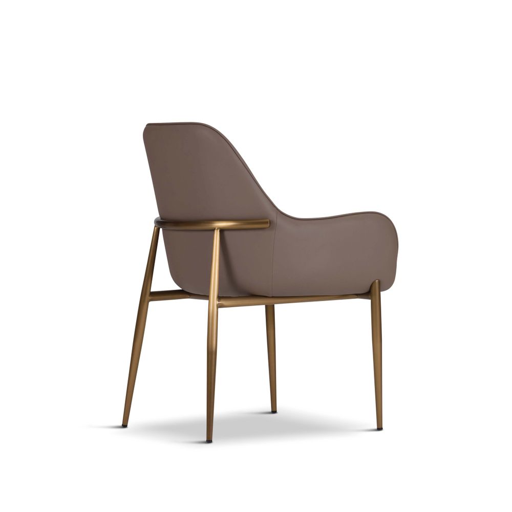Chaises - Camelia-Dining Chairs - BDHOLDING - DAZE BRAND