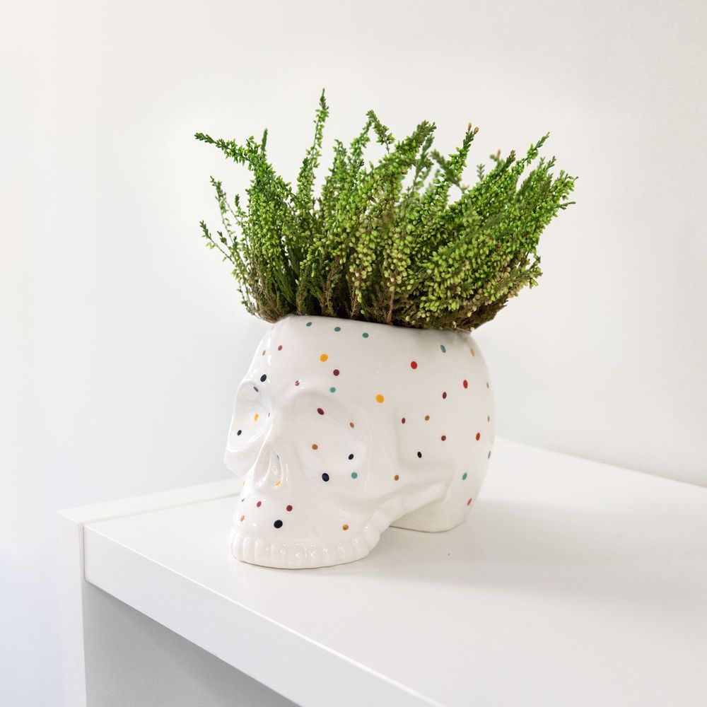 Accessoires de jardinage - POT DE FLEURS CRÂNE - FISURA