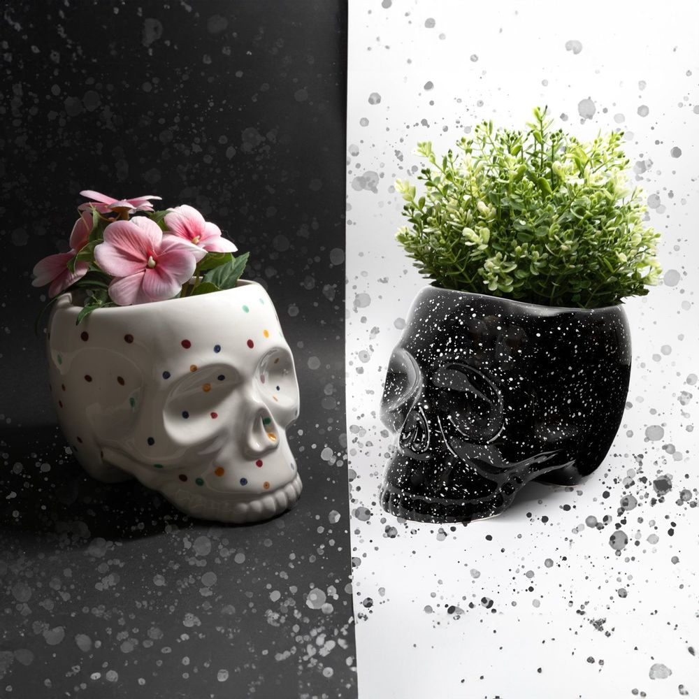 Accessoires de jardinage - POT DE FLEURS CRÂNE - FISURA