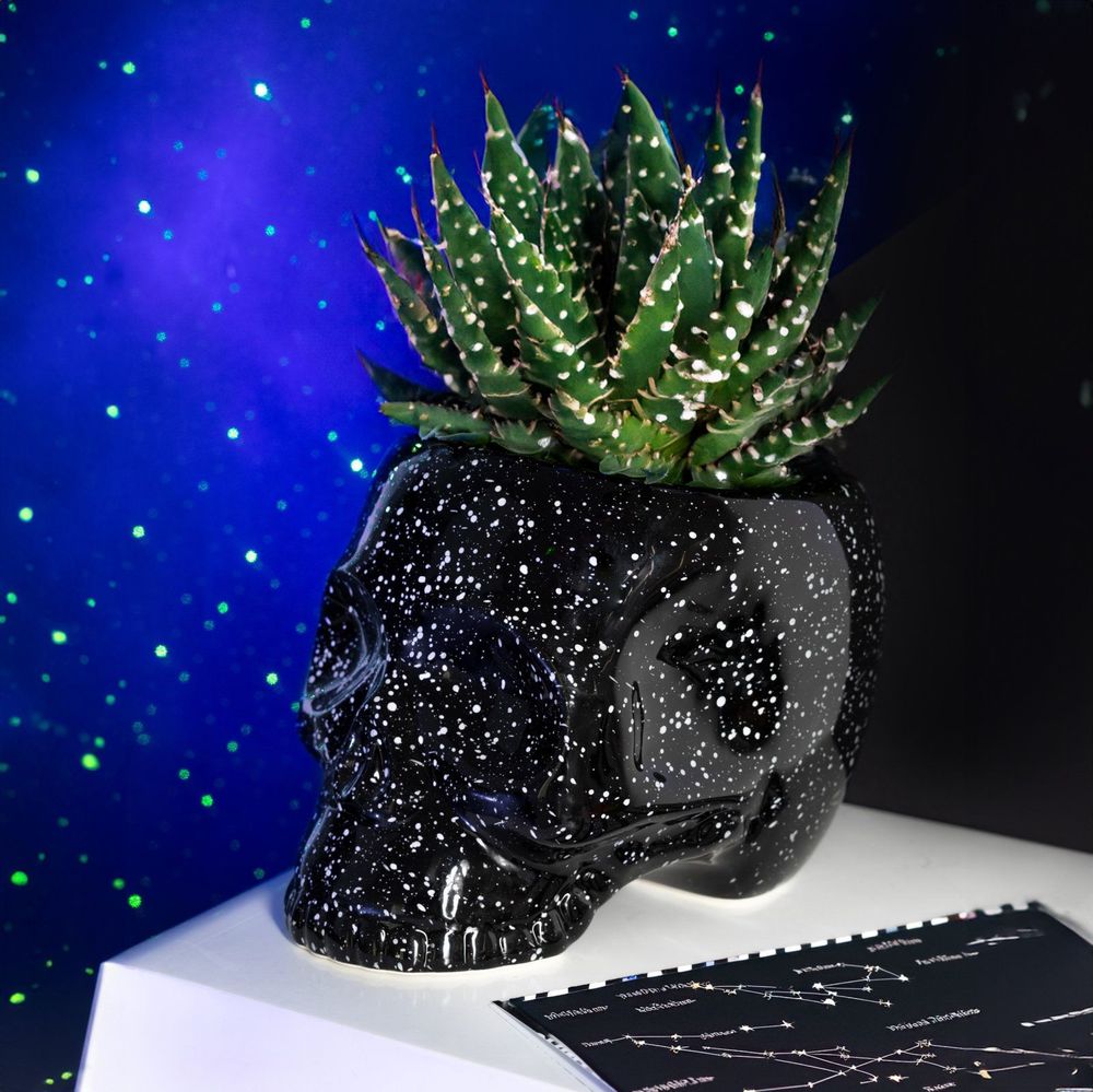 Accessoires de jardinage - POT DE FLEURS CRÂNE - FISURA