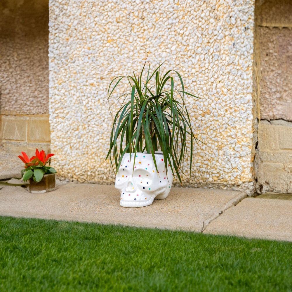 Accessoires de jardinage - POT DE FLEURS CRÂNE - FISURA