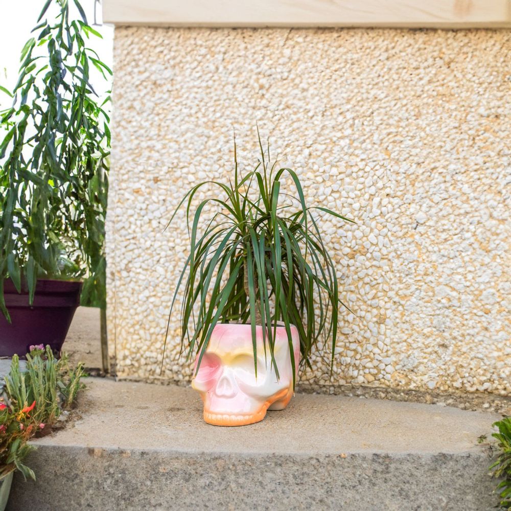 Accessoires de jardinage - POT DE FLEURS CRÂNE - FISURA