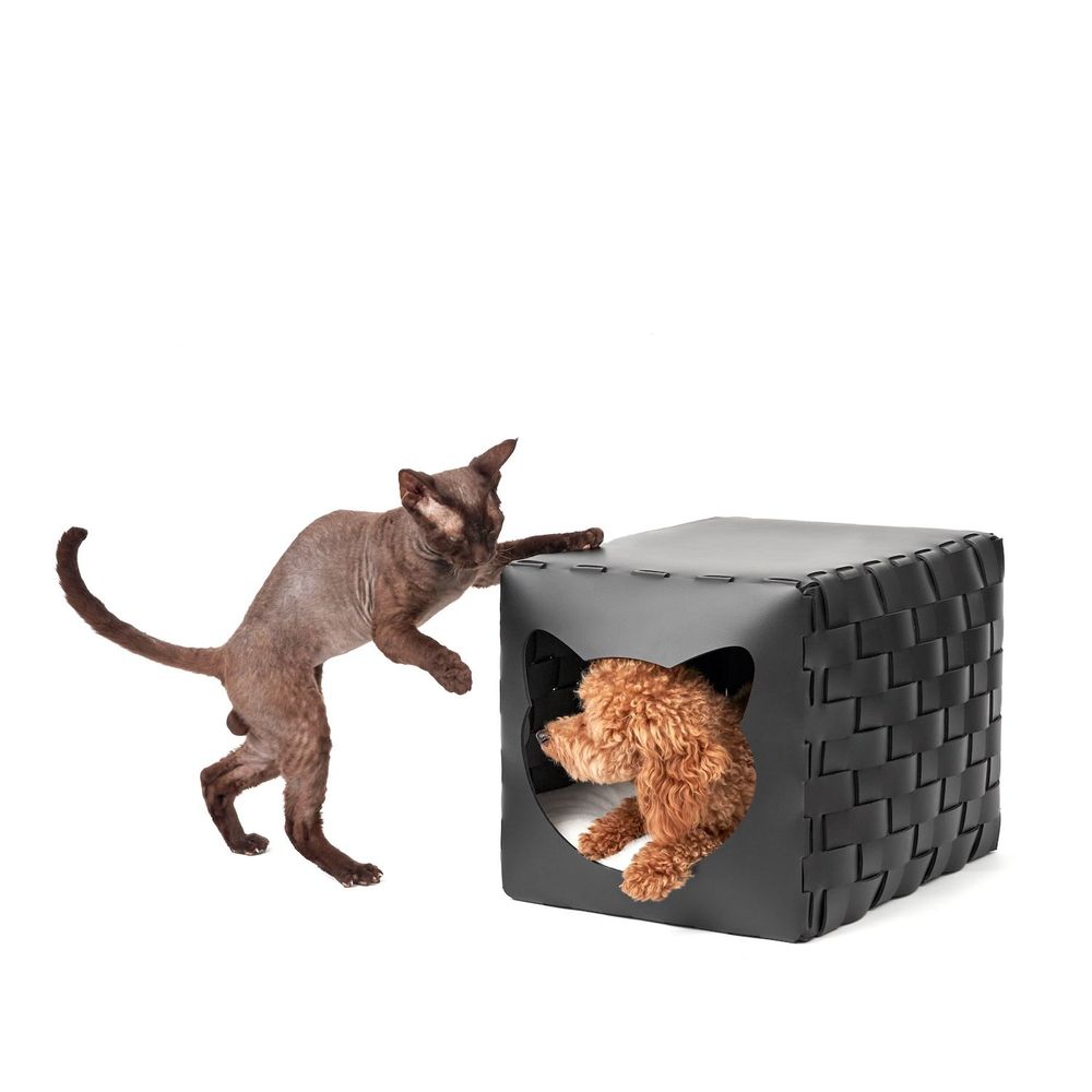 Objets design - CAT & DOG HOUSE - ADJ STYLE