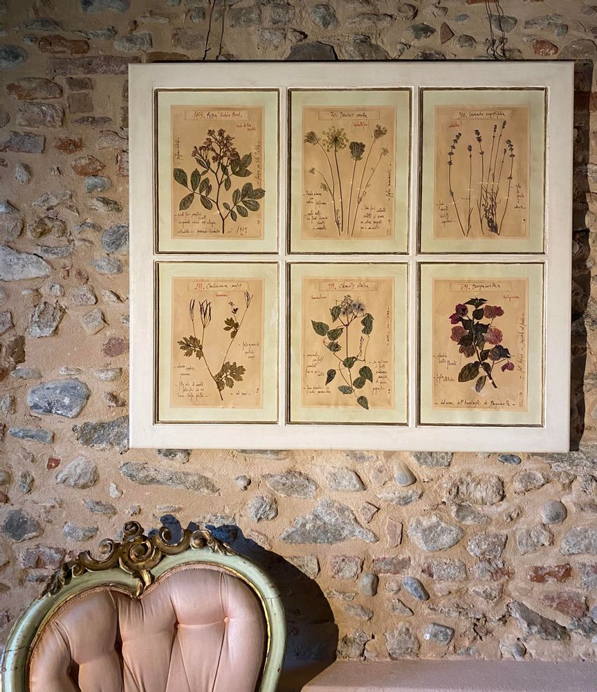 Objets de décoration - Table d'herbier fait main - OFFICINA NATURALIS