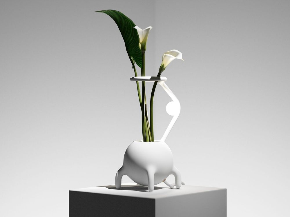 Vases - Vase — Pré-main - YOOMOOTA