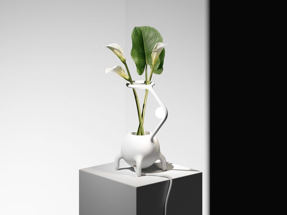 Vases - Vase — Pré-main - YOOMOOTA