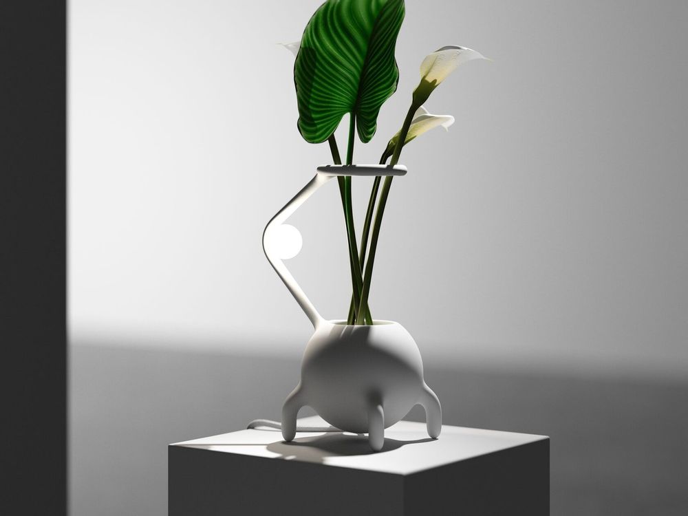 Vases - Vase — Pré-main - YOOMOOTA