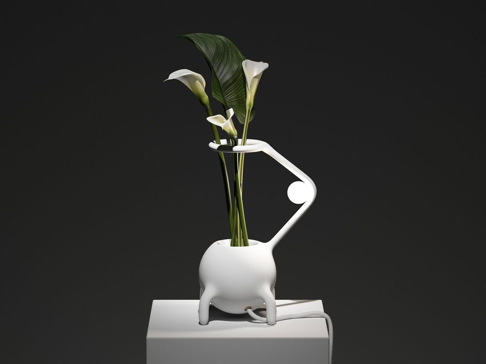 Vases - Vase — Pré-main - YOOMOOTA