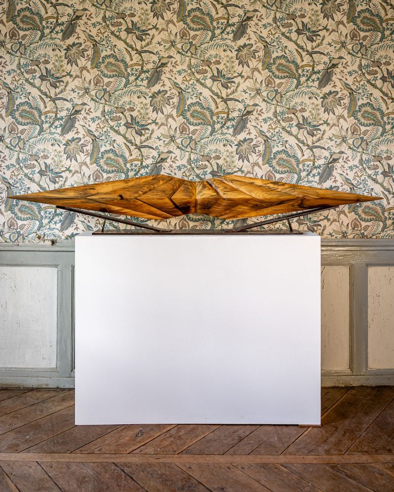 Unique pieces - Gabrielle Expansion - NICOLAS MIALET SCULPTURE