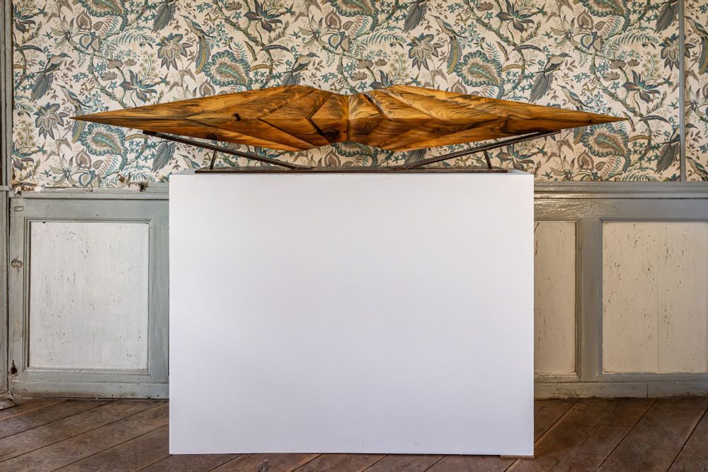 Unique pieces - Gabrielle Expansion - NICOLAS MIALET SCULPTURE