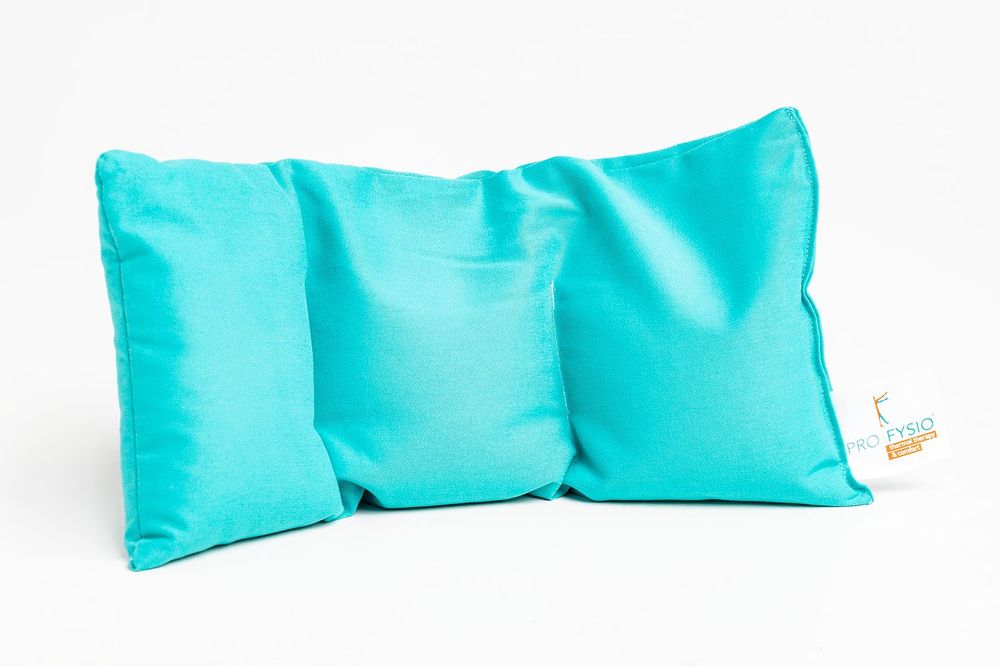 Coussins - Profysio Rectangle oreiller aux graines de Lin - 20 cm x 40 cm - INATURA