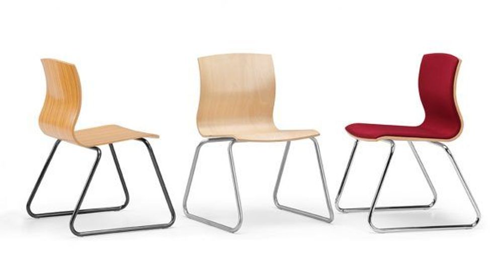Chairs for hospitalities & contracts - WEBBY multi purpose chair - TALIN