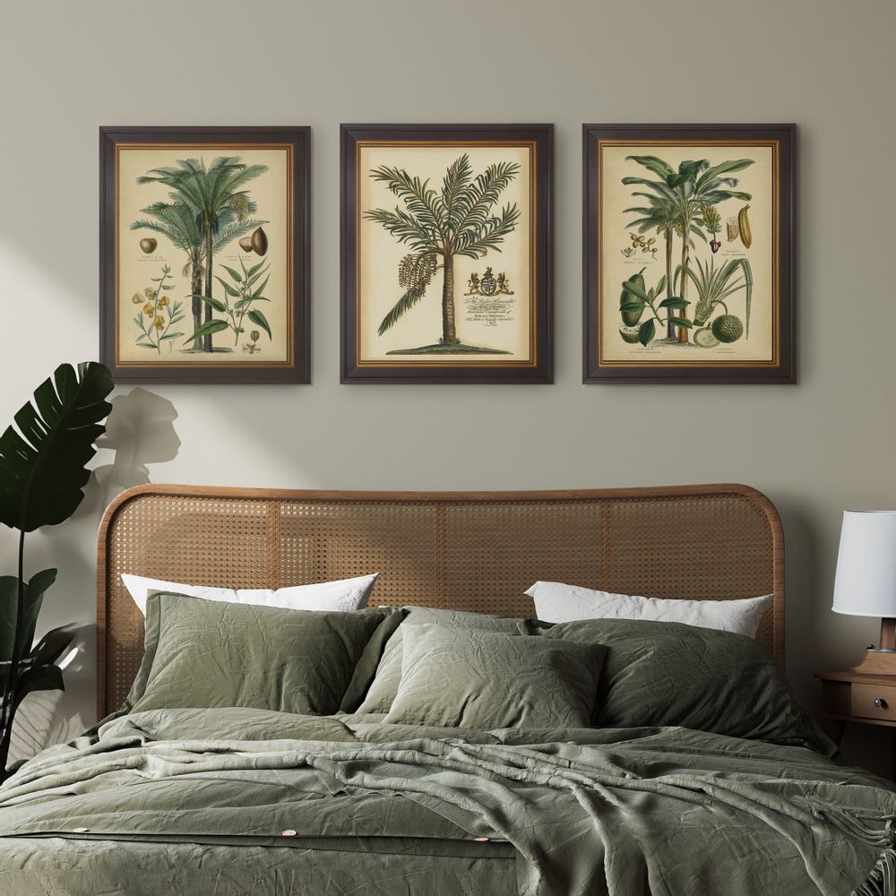 Tableaux - Palmier fructueux - BROOKPACE FINE ART