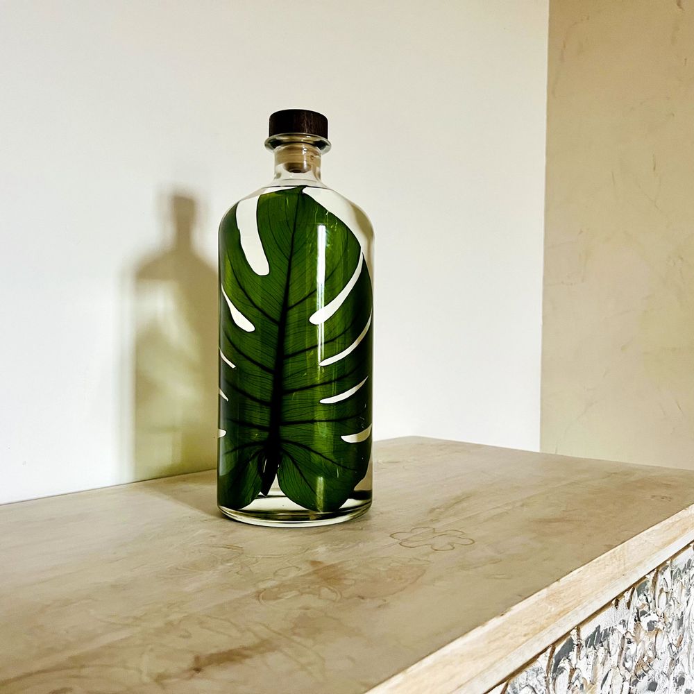 Gifts - Theophile's Herbarium — Monstera XL - Plant immersed in a bottle - THEOPHILE BERTHON