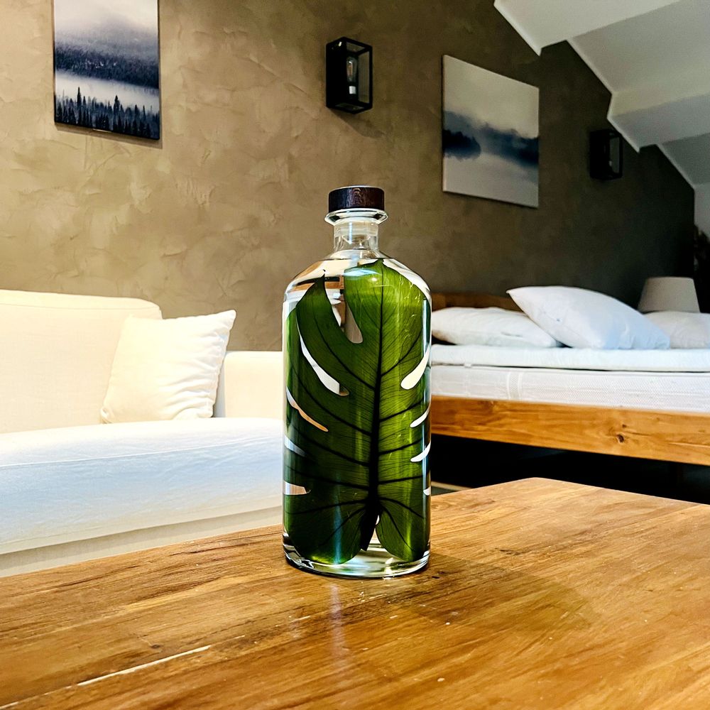 Gifts - Theophile's Herbarium — Monstera XL - Plant immersed in a bottle - THEOPHILE BERTHON