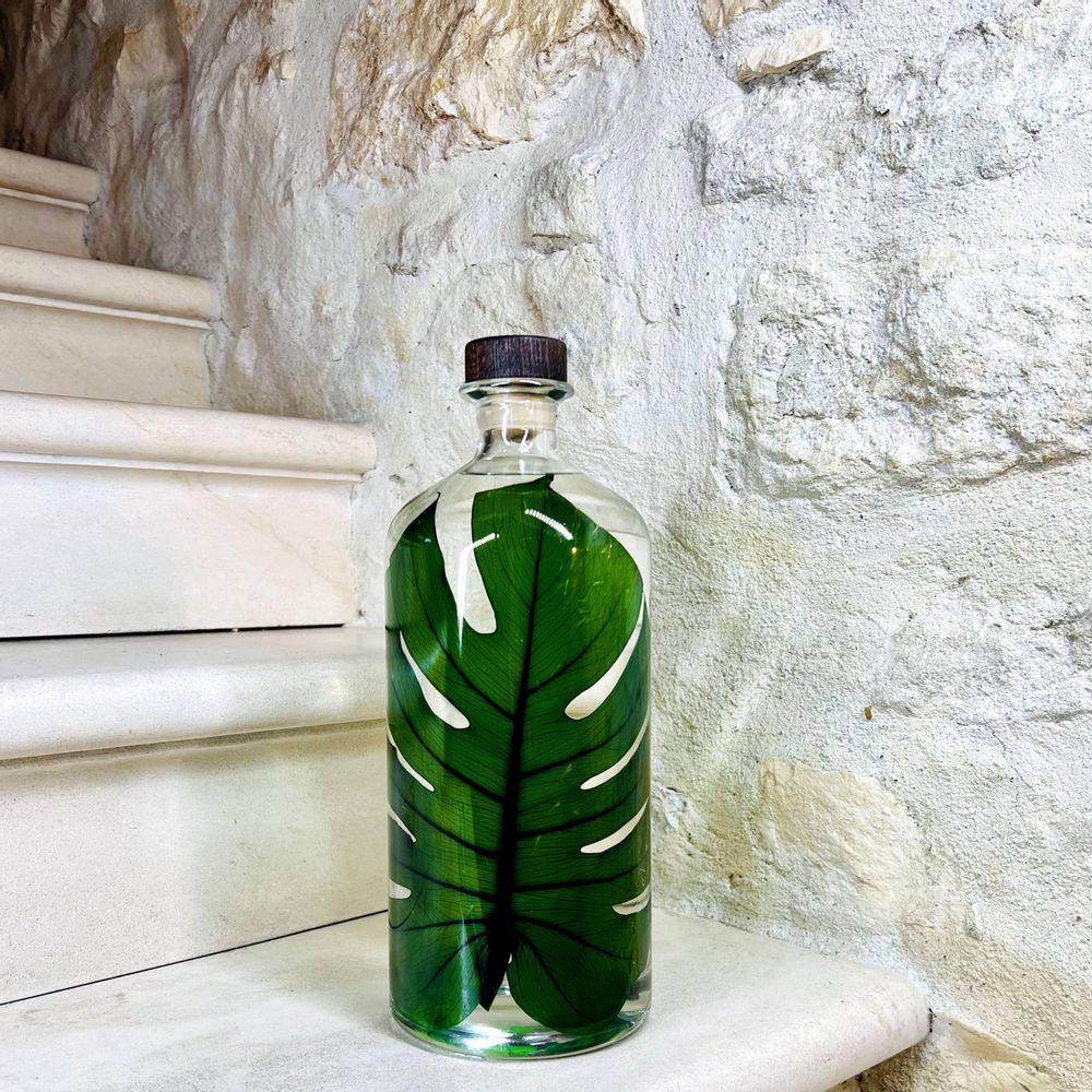 Gifts - Theophile's Herbarium — Monstera XL - Plant immersed in a bottle - THEOPHILE BERTHON