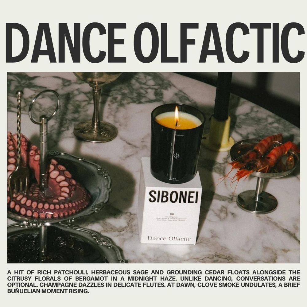 Gifts - CANDLE: DANCE OLFACTIC (OUD) - SIBONEI