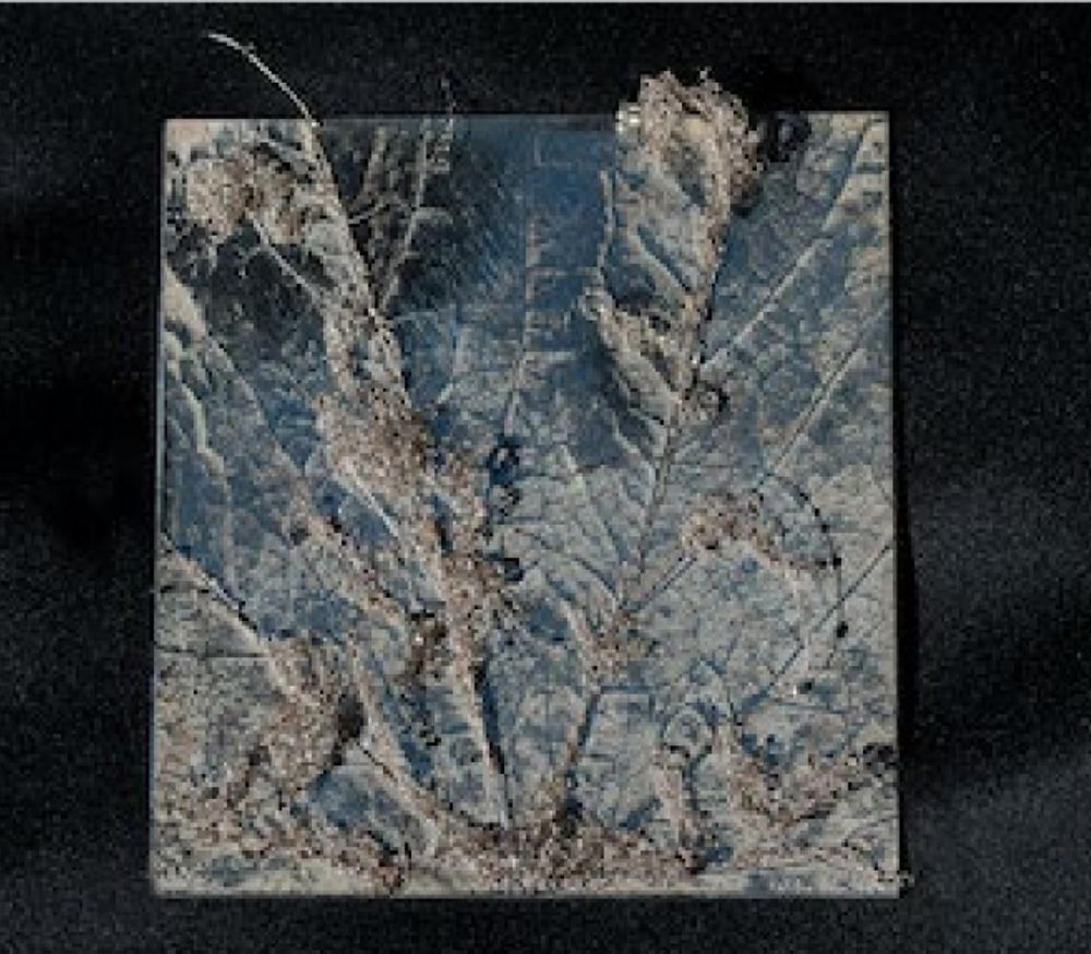 Design textile et surface - Objet de décoration - AURÉLIE LANOISELÉE