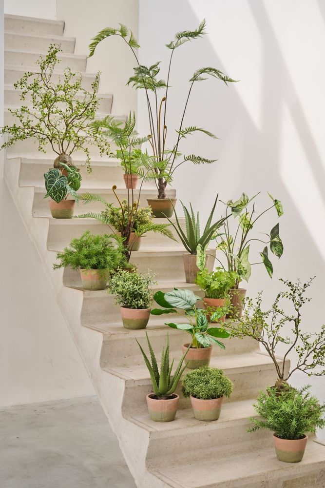 Floral decoration - Artificial potted trees and plants - Treasured Plants Collection - SILK-KA