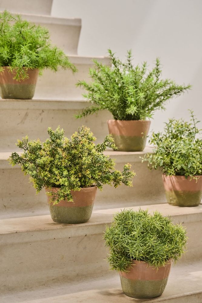 Floral decoration - Artificial potted trees and plants - Treasured Plants Collection - SILK-KA