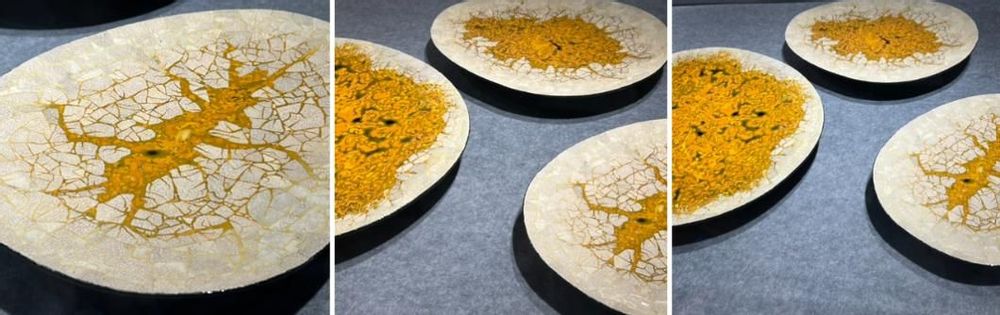 Unique pieces - Marbled gold-lacquered wooden containers - SADC