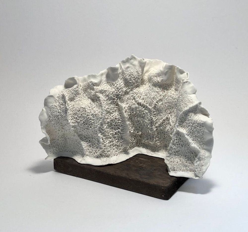 Ceramic - Surge - PASCALE MORIN