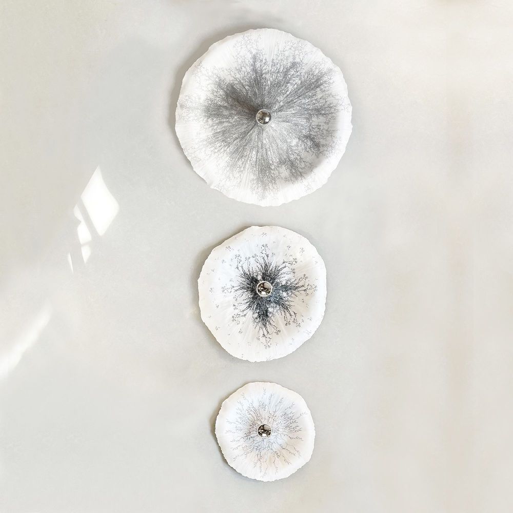 Wall lamps - Flower wall lamp - N.LOBJOY