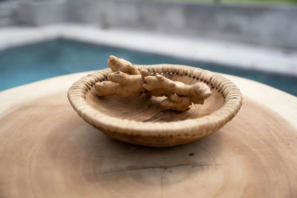 Plats et saladiers - Le Bol Like Me - Naturel - L - BAZAR BIZAR LIVING