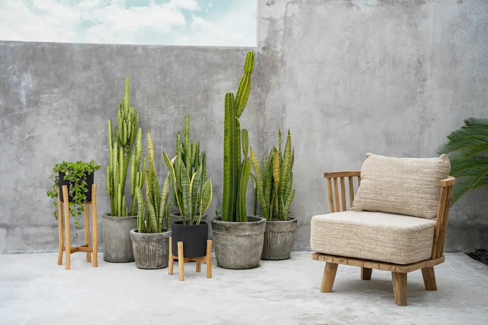 Small sofas - The Malawi One Seat Sofa - Natural Beige - BAZAR BIZAR LIVING