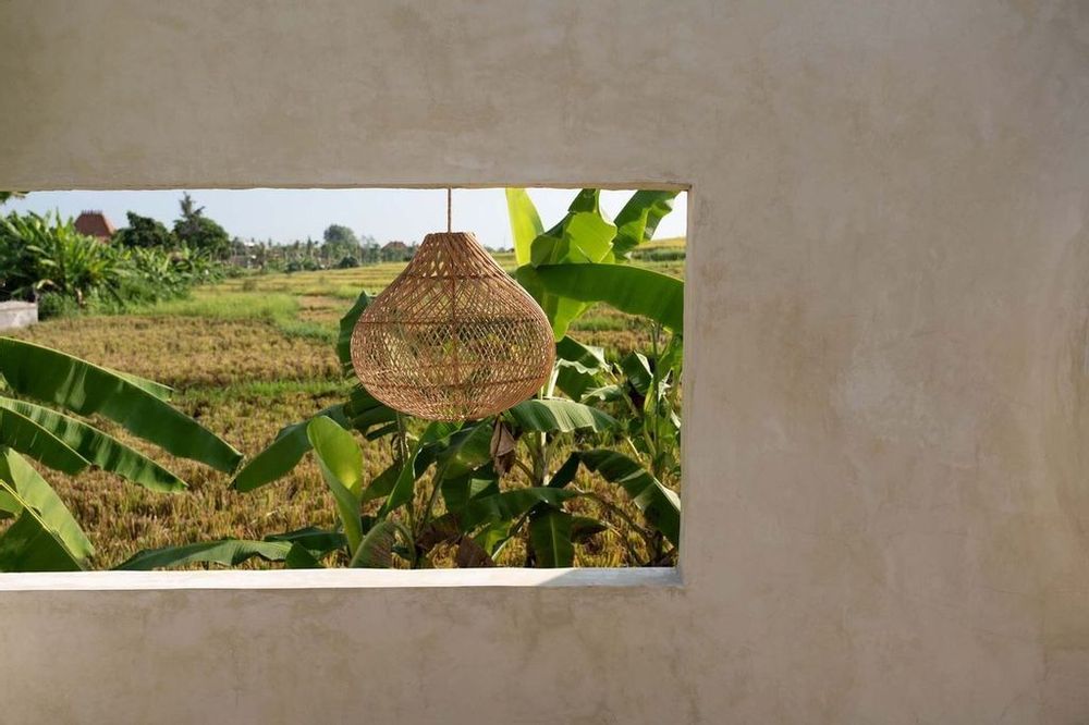 Hanging lights - The Bottle Pendant - Natural - M - BAZAR BIZAR LIVING