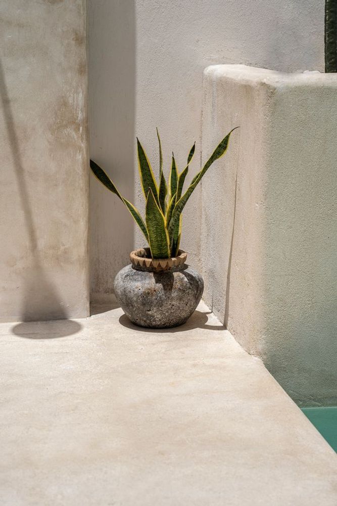 Vases - Le Vase Styly - Gris Antique - L - BAZAR BIZAR LIVING