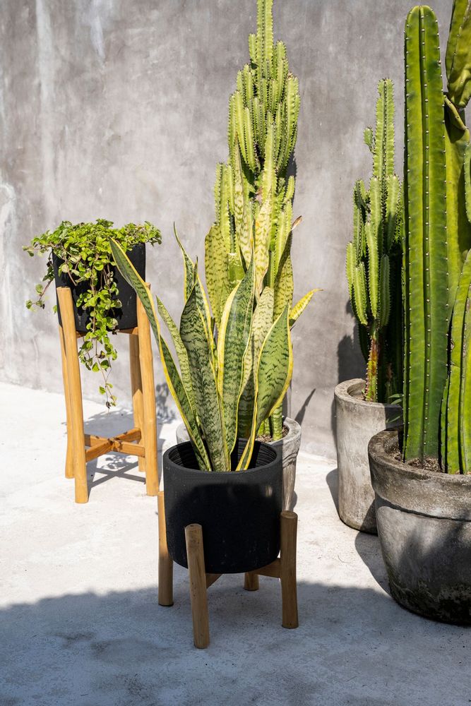 Vases - Jardinière Charcoal Bas - Noir Naturel - S - BAZAR BIZAR LIVING