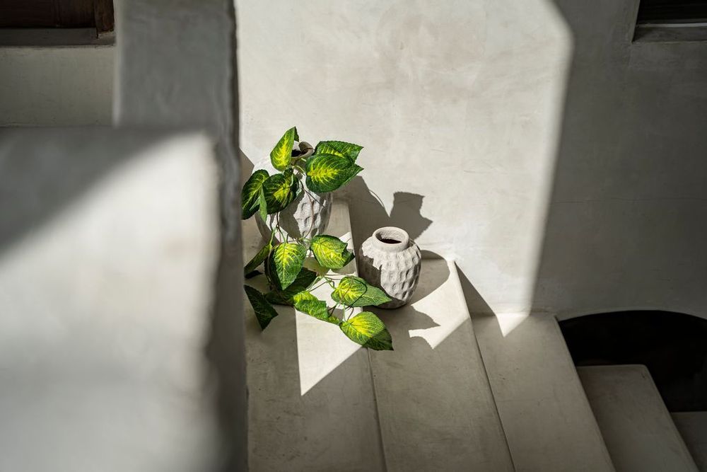 Vases - The Trendy Vase - Concrete - L - BAZAR BIZAR LIVING