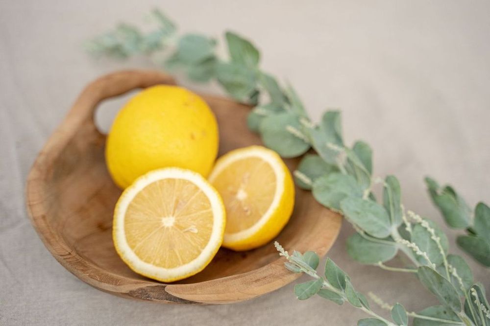 Plats et saladiers - Le Plateau Bol - Naturel - BAZAR BIZAR LIVING