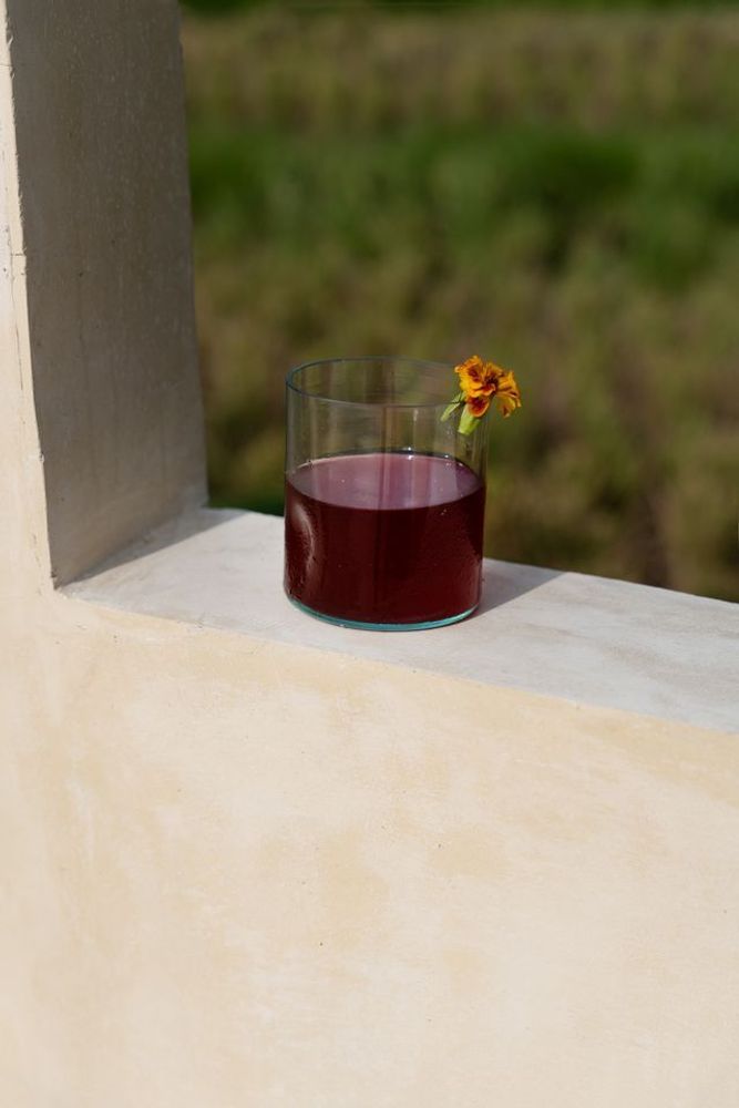 Verres - Le Verre On the Rocks - BAZAR BIZAR LIVING