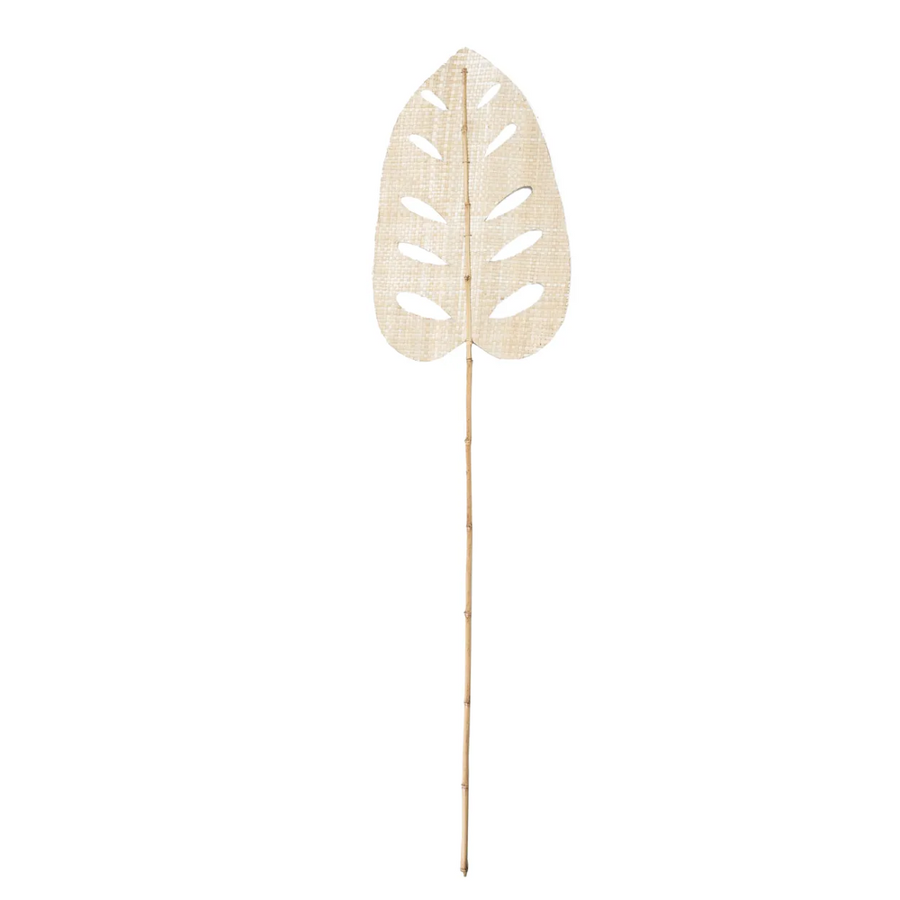 Decorative objects - The Water Hyacinth Leaf - Natural - BAZAR BIZAR LIVING