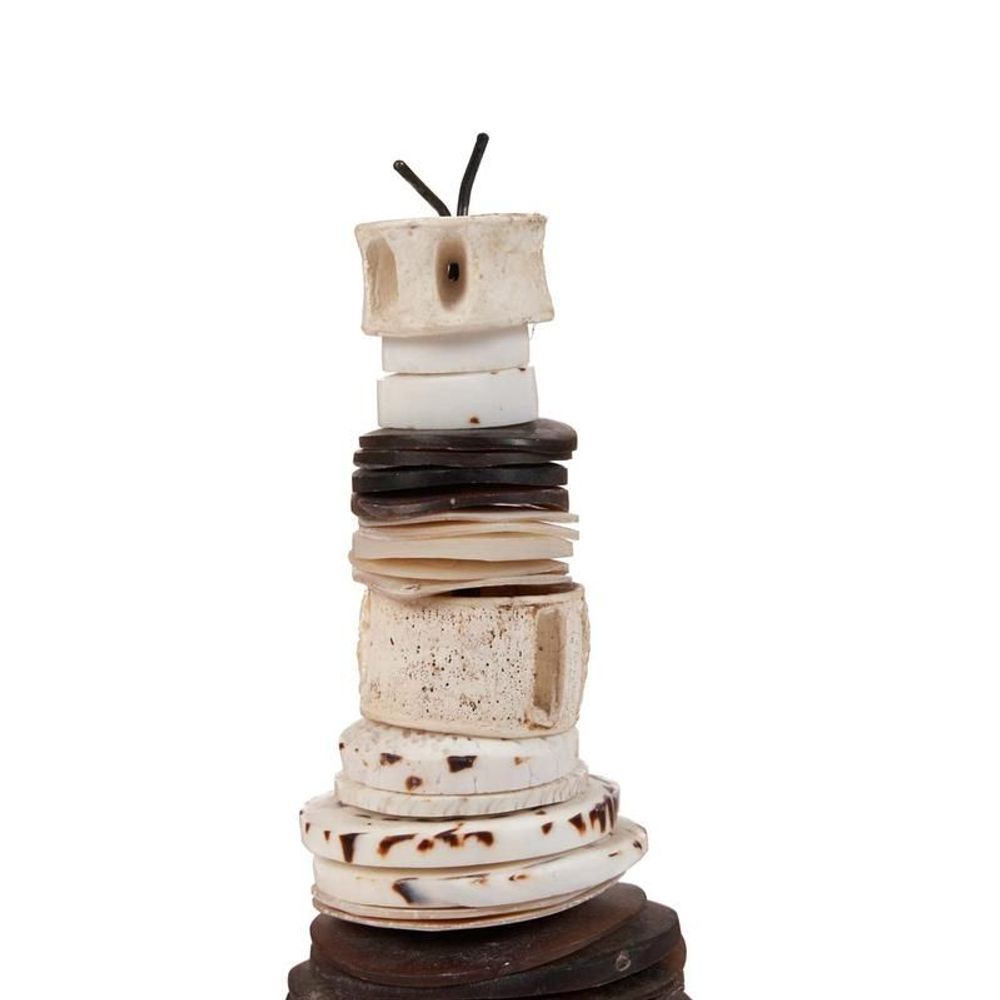 Objets de décoration - Le Coquillage Money sur Stand - Noir Blanc - S - BAZAR BIZAR LIVING