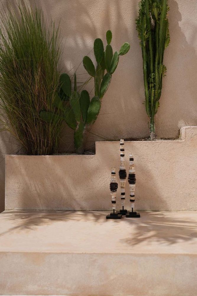 Decorative objects - The Money Shell on Stand - Black White - L - BAZAR BIZAR LIVING