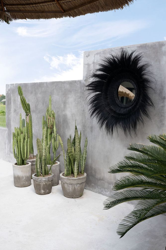 Miroirs - Le Miroir Sunken Forest - Noir - BAZAR BIZAR LIVING