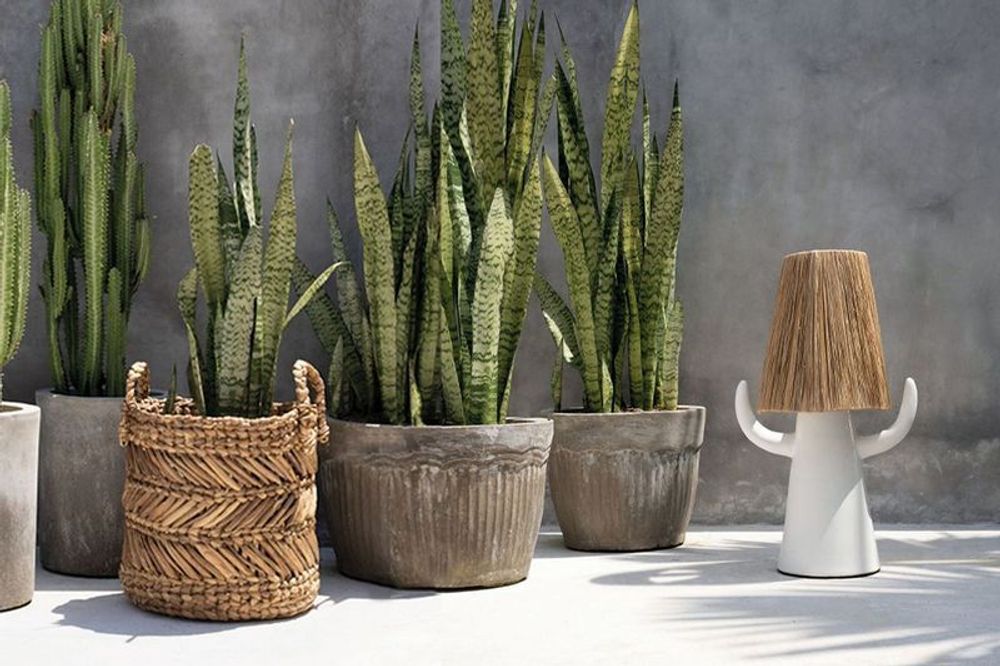 Boîtes de rangement  - Le Panier Zigzag Banana - M - BAZAR BIZAR LIVING