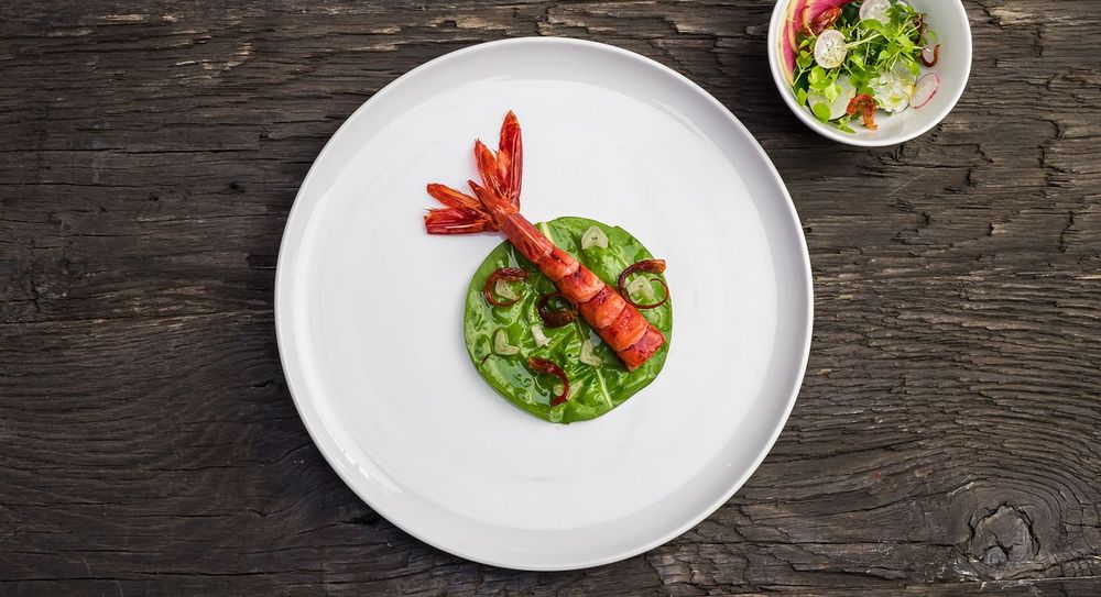 Everyday plates - SELENA TABLEWARE - TABLE PASSION / BASTIDE 1880
