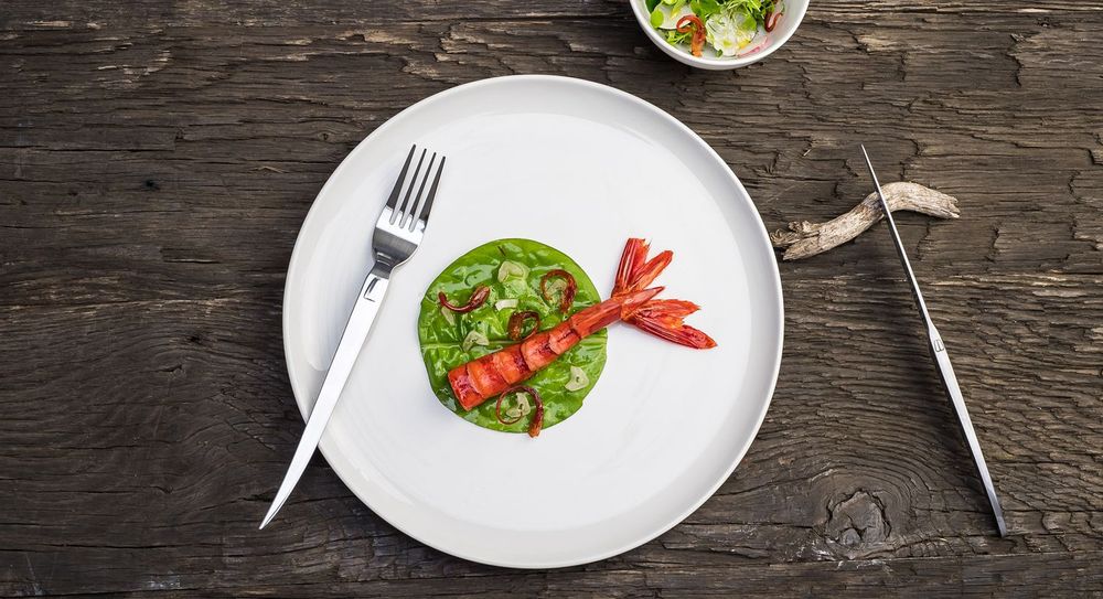 Everyday plates - SELENA TABLEWARE - TABLE PASSION / BASTIDE 1880
