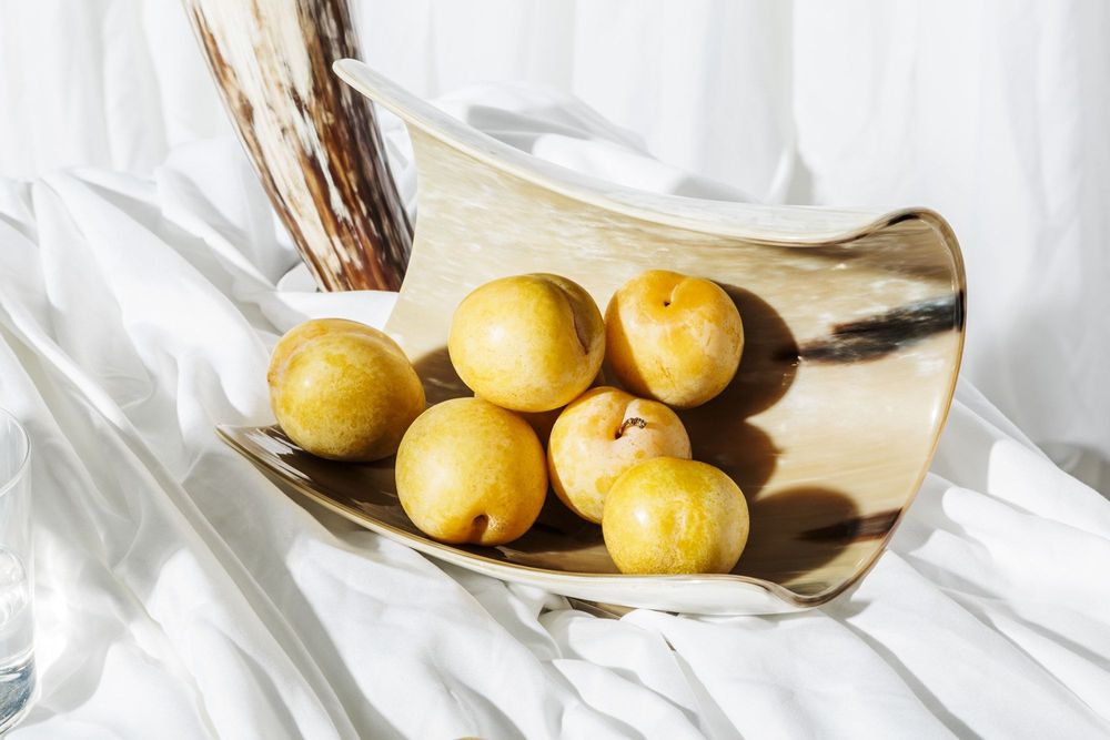 Design objects - Skyline Bowl | Natural Horn - ZANCHI 1952